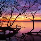 Am Müggelsee vor Sonnenaufgang