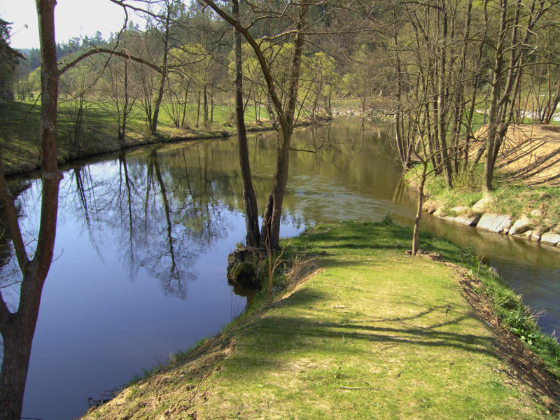 Am Mühlbachspitz der Liebnitzmühle im Revier Buchenstein Thaya I/24a.