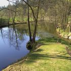 Am Mühlbachspitz der Liebnitzmühle im Revier Buchenstein Thaya I/24a.