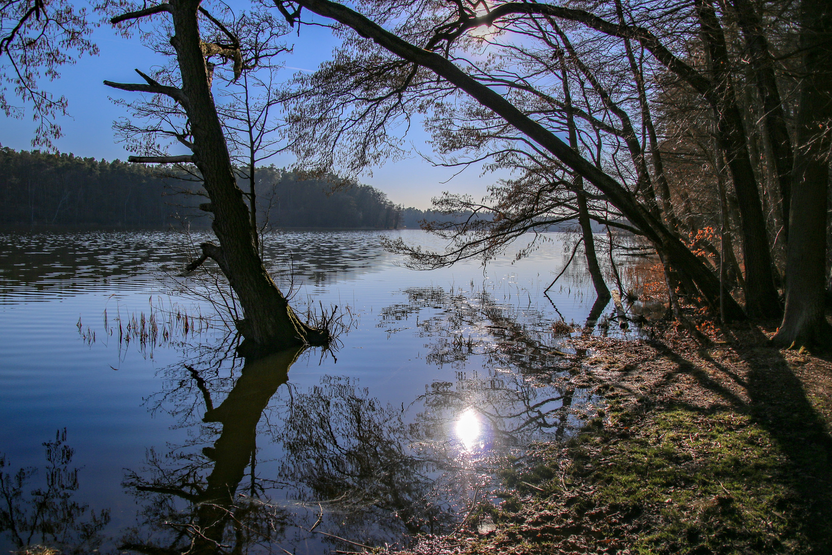 Am Mühlenbecker See