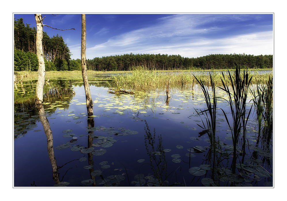 Am Mühlensee 02