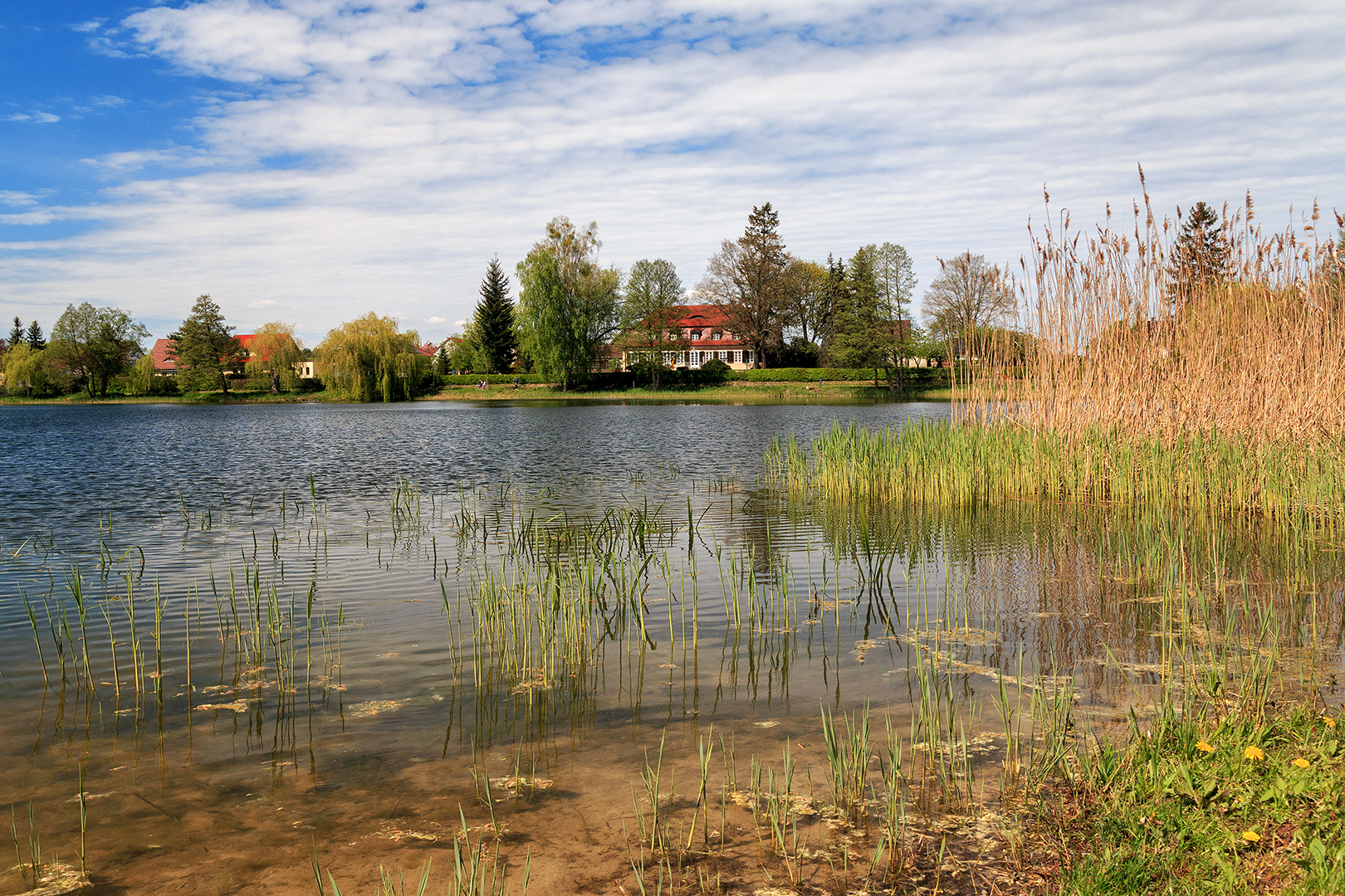 Am Mühlensee in Liebenwalde Foto & Bild deutschland, europe