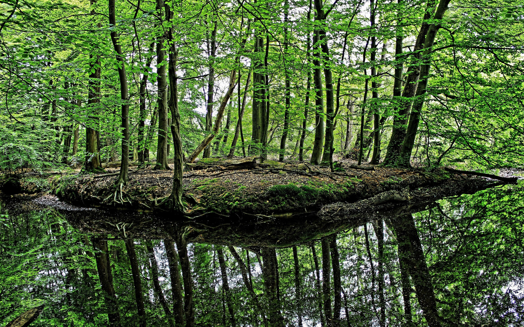 Am Mühlenteich