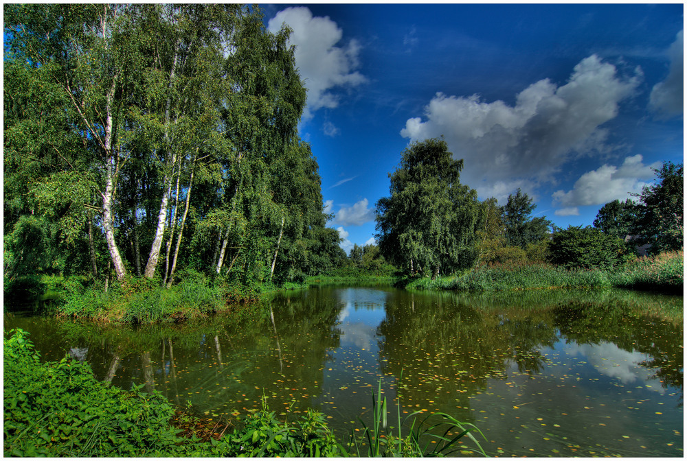 Am Mühlenteich