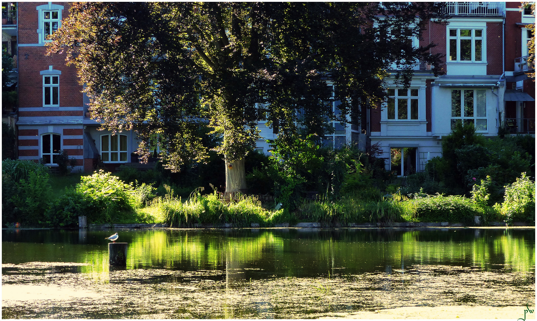 Am Mühlenteich in Lübeck Foto &amp; Bild landschaft, garten