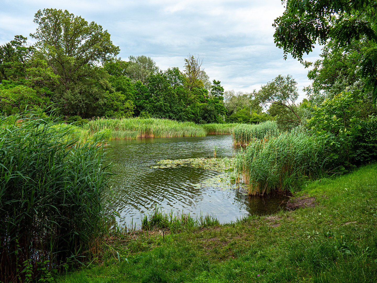 am mühlwasser