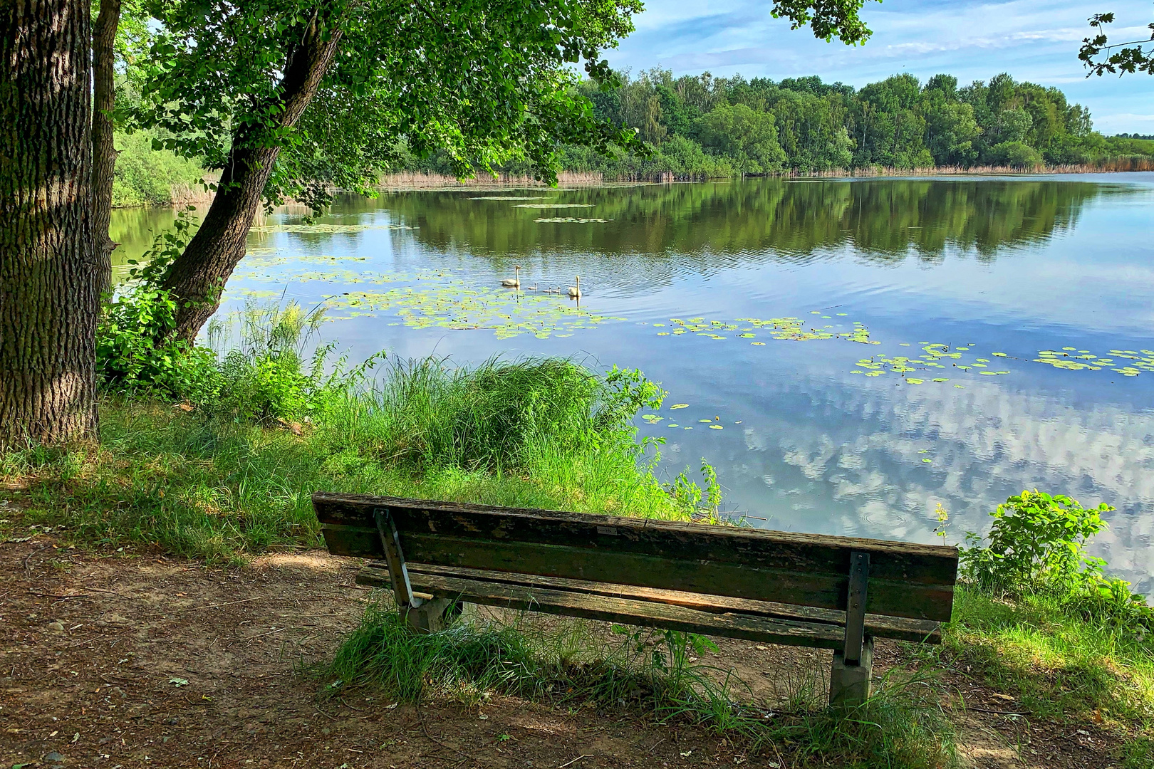 Am Müncherteich ...