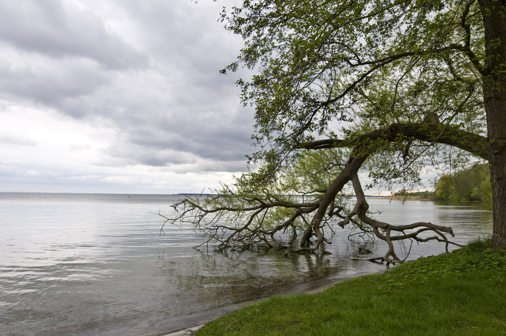 Am Müritzer See