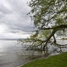 Am Müritzer See