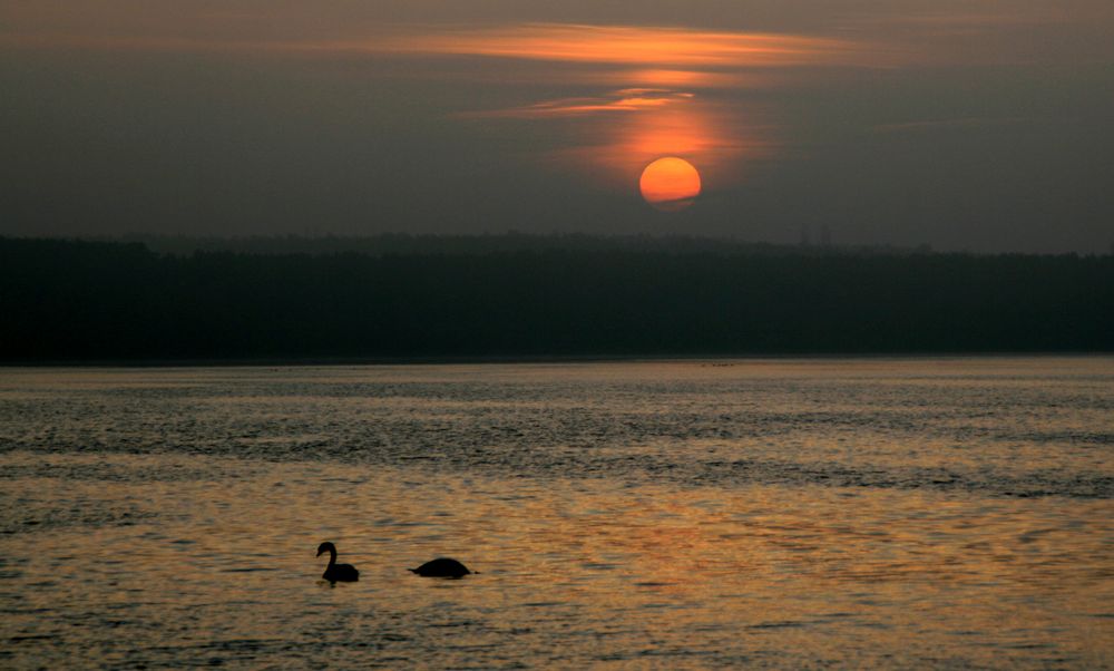 am Muldestausee