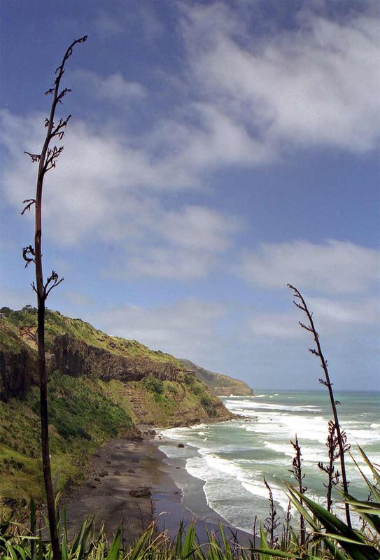 Am Muriwai Beach