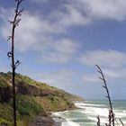 Am Muriwai Beach