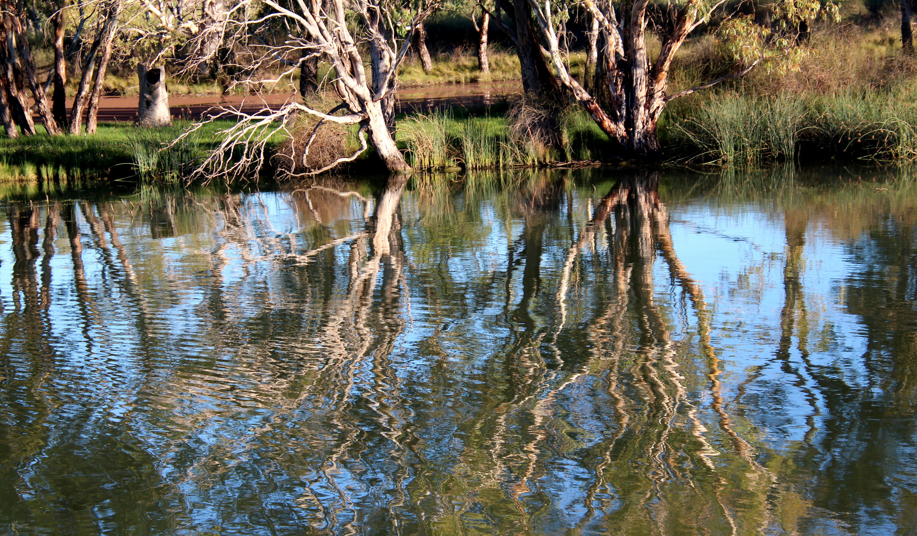 am Murrayriver