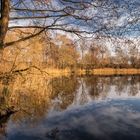 am Mustiner See