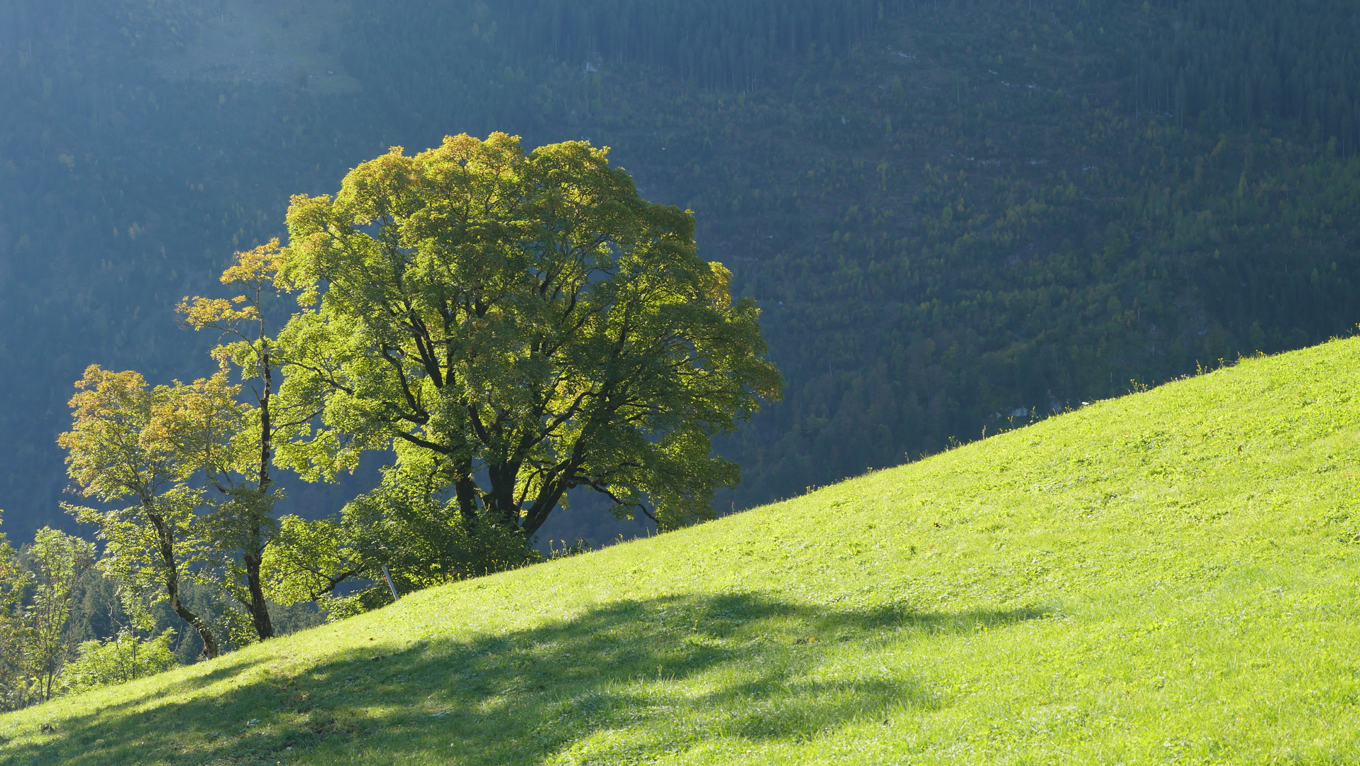 Am Näfelsberg