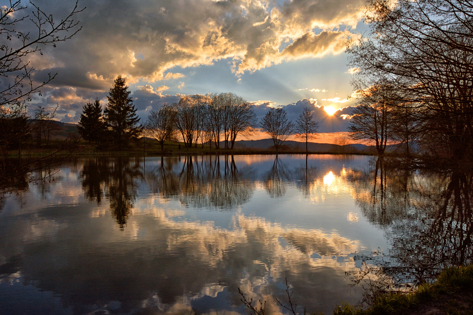 am Natur-Weiher...