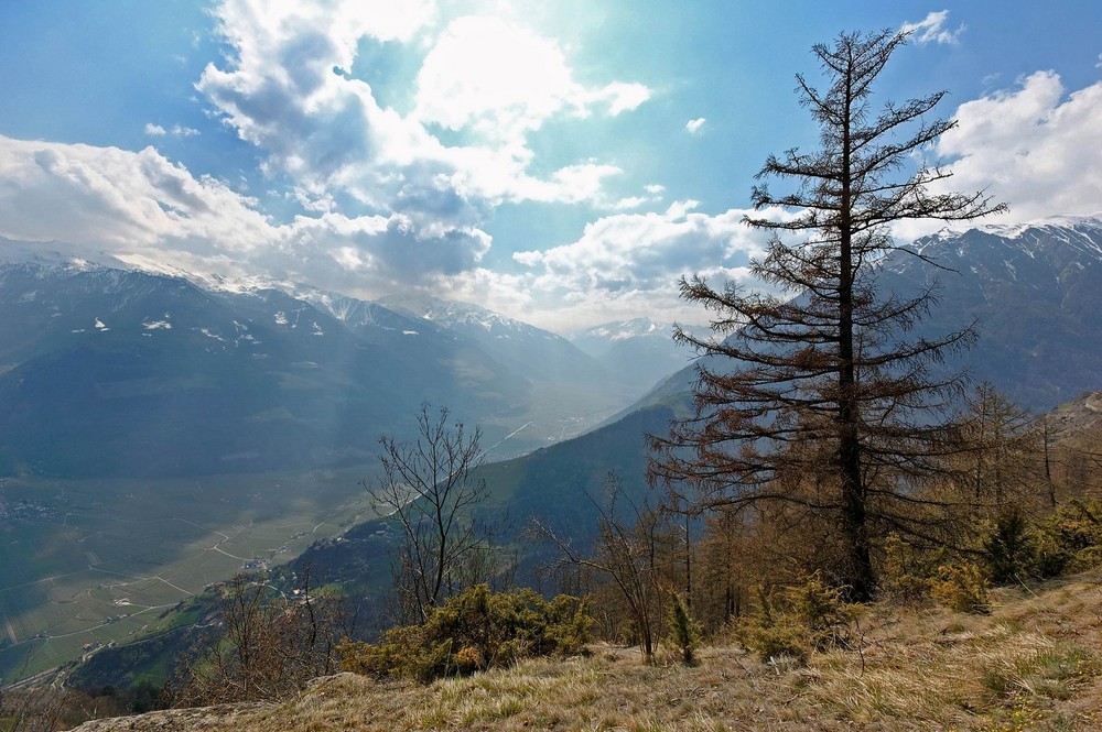 Am Naturnser Sonnenberg