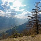 Am Naturnser Sonnenberg