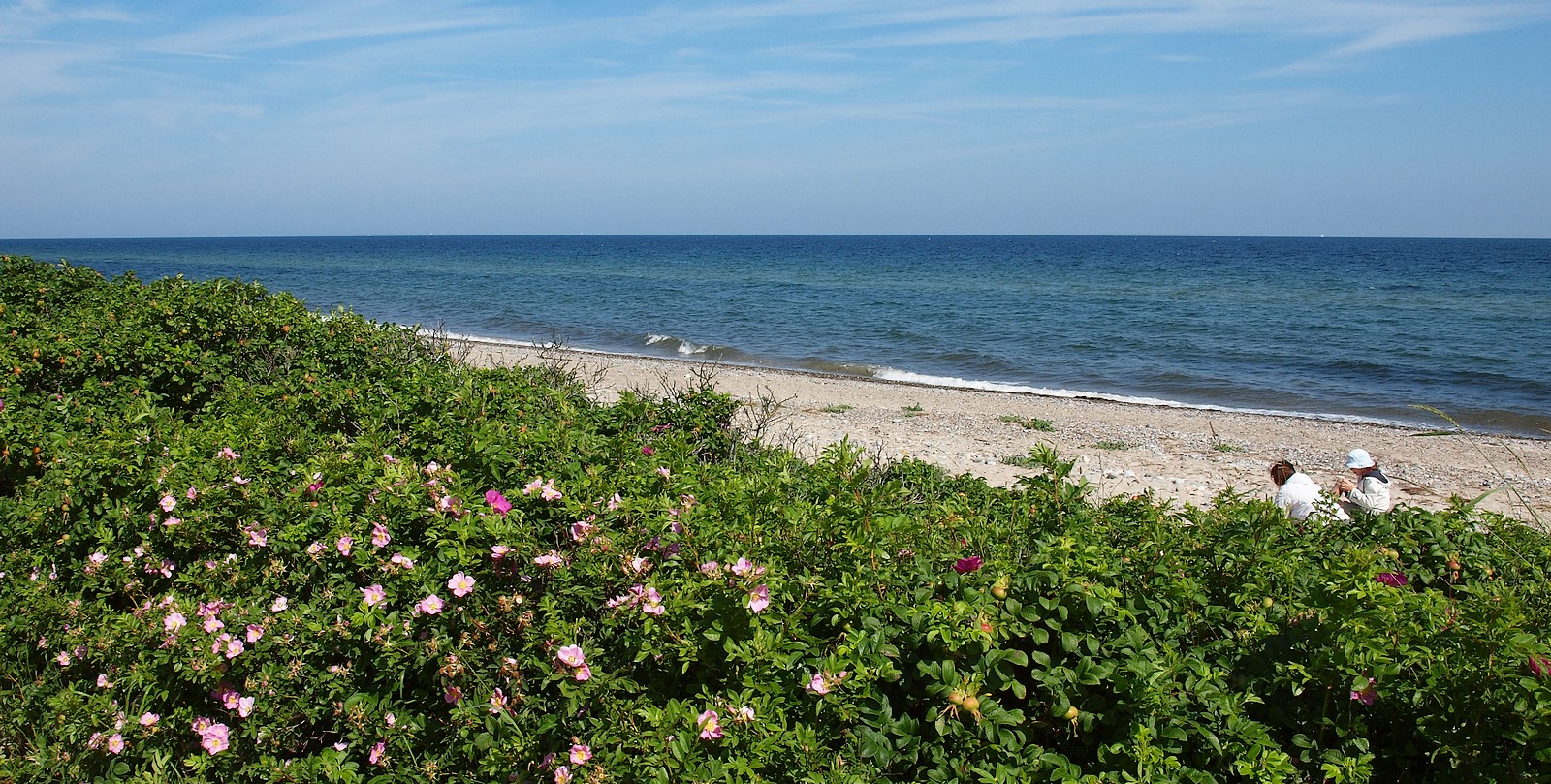 Am Naturstrand (2)