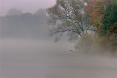 Am (Nebel) Woflssee in Duisburg