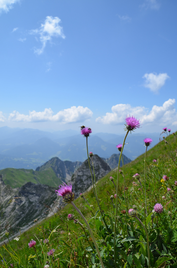 Am Nebelhorn