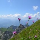 Am Nebelhorn