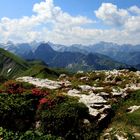 Am Nebelhorn