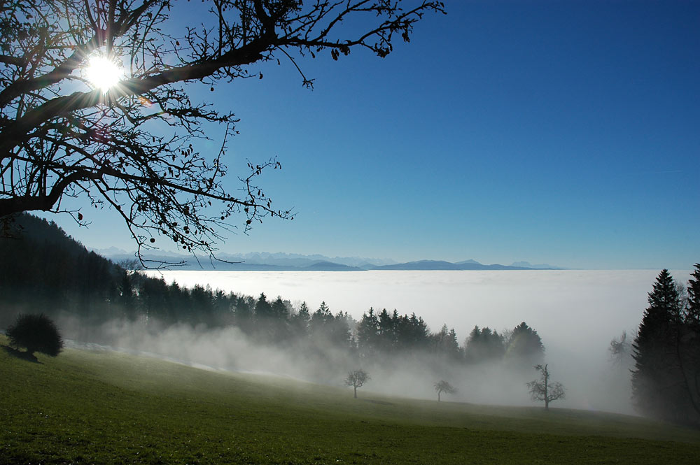 Am Nebelmeer gestrandet…