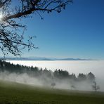 Am Nebelmeer gestrandet…