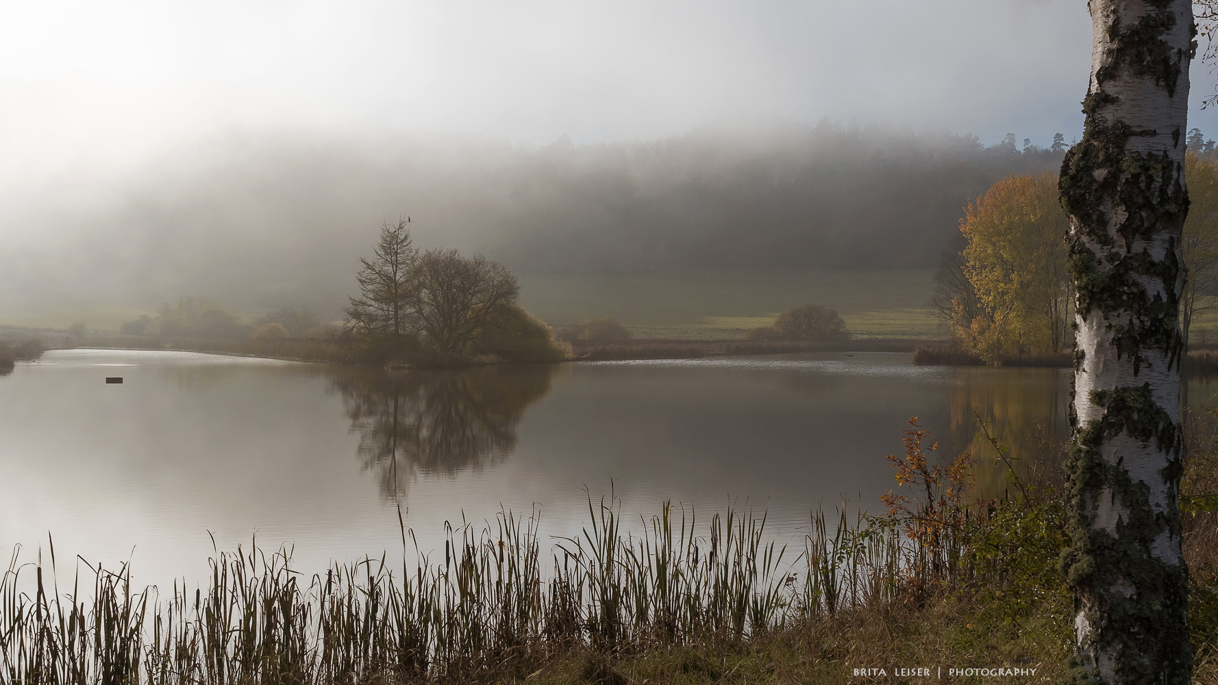 Am Nebelweiher