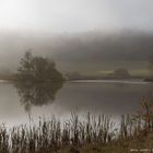 Am Nebelweiher