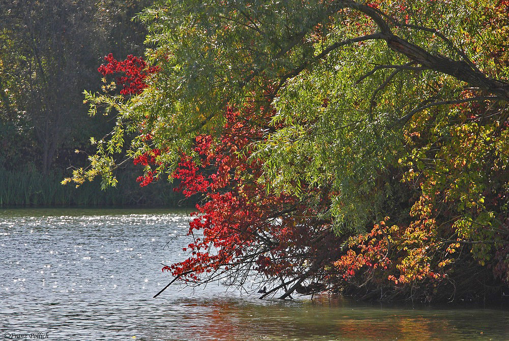 am Neckar