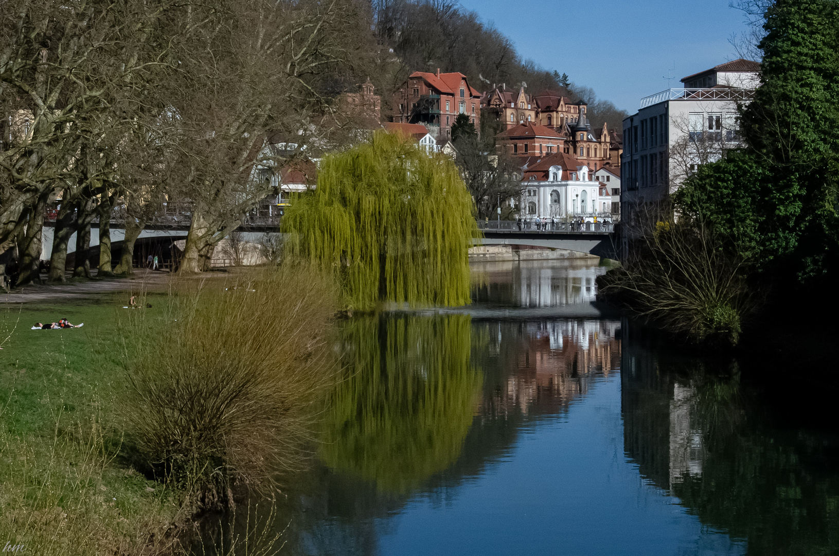 am Neckar