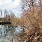 am Neckar