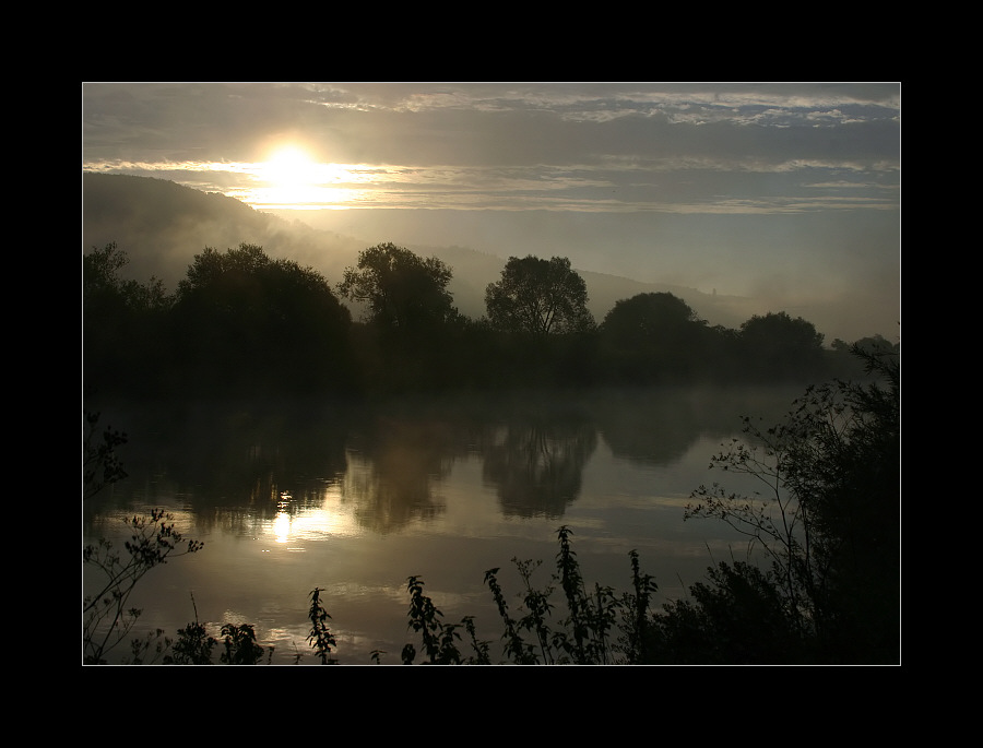 Am Neckar #7