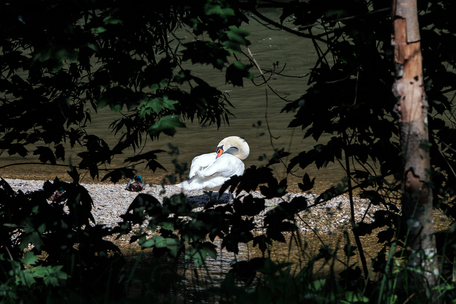 Am Neckar