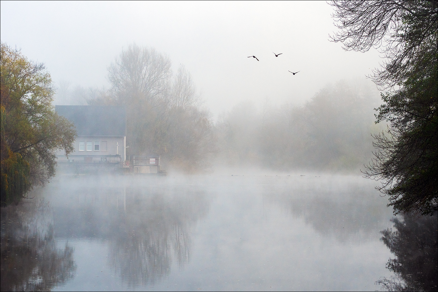 am Neckar