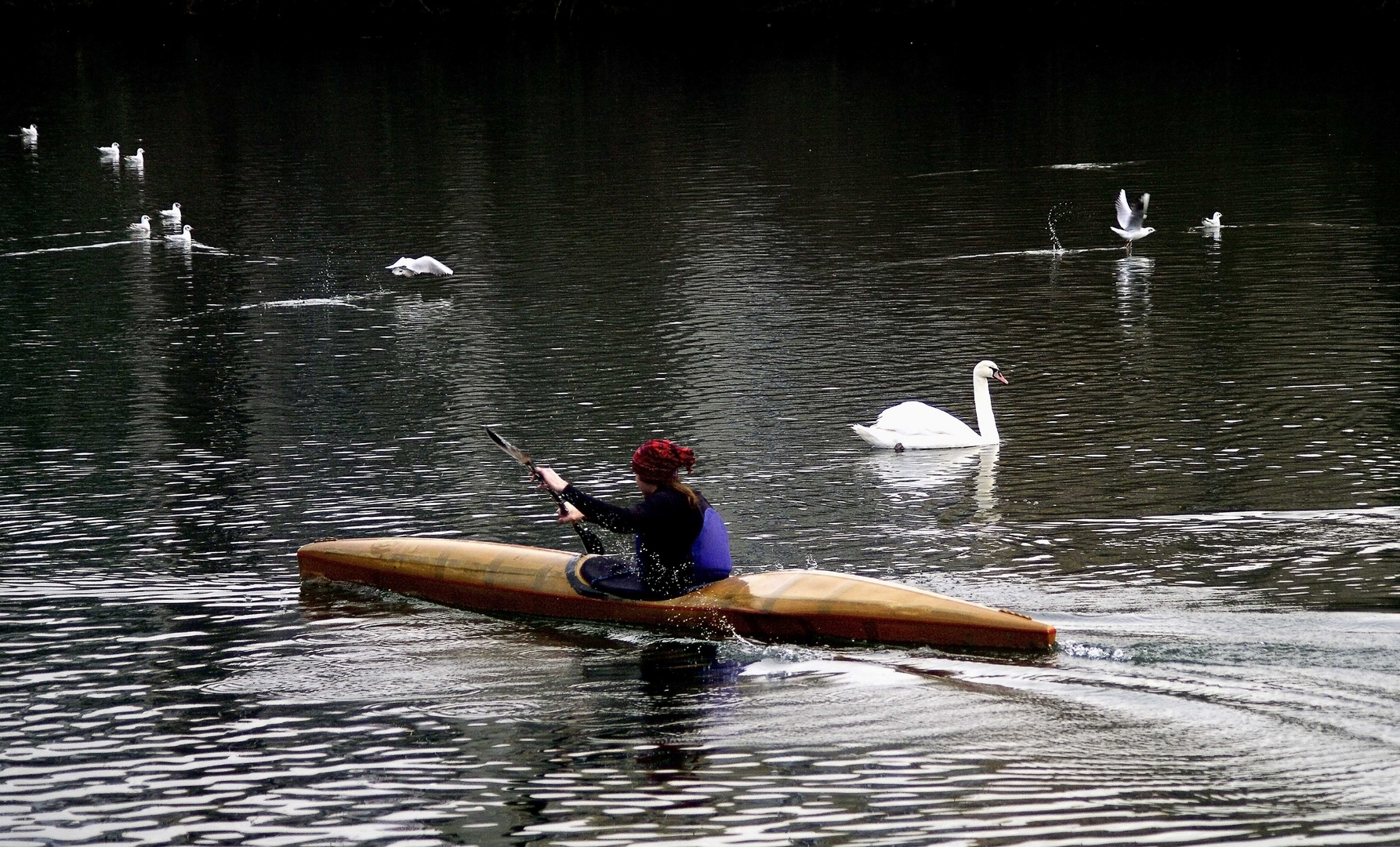 ...am Neckar