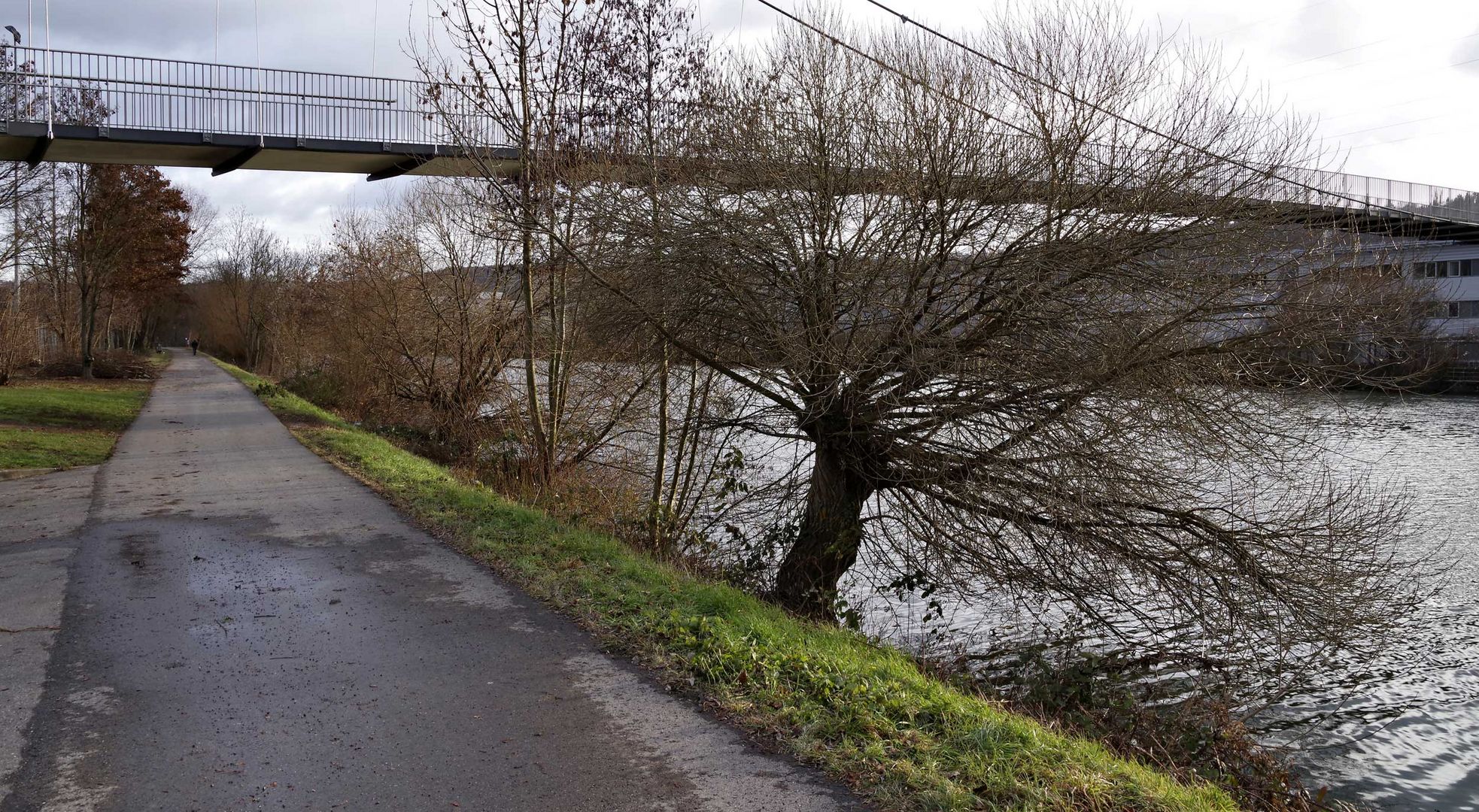 am Neckar bei Esslingen-Mettingen...1