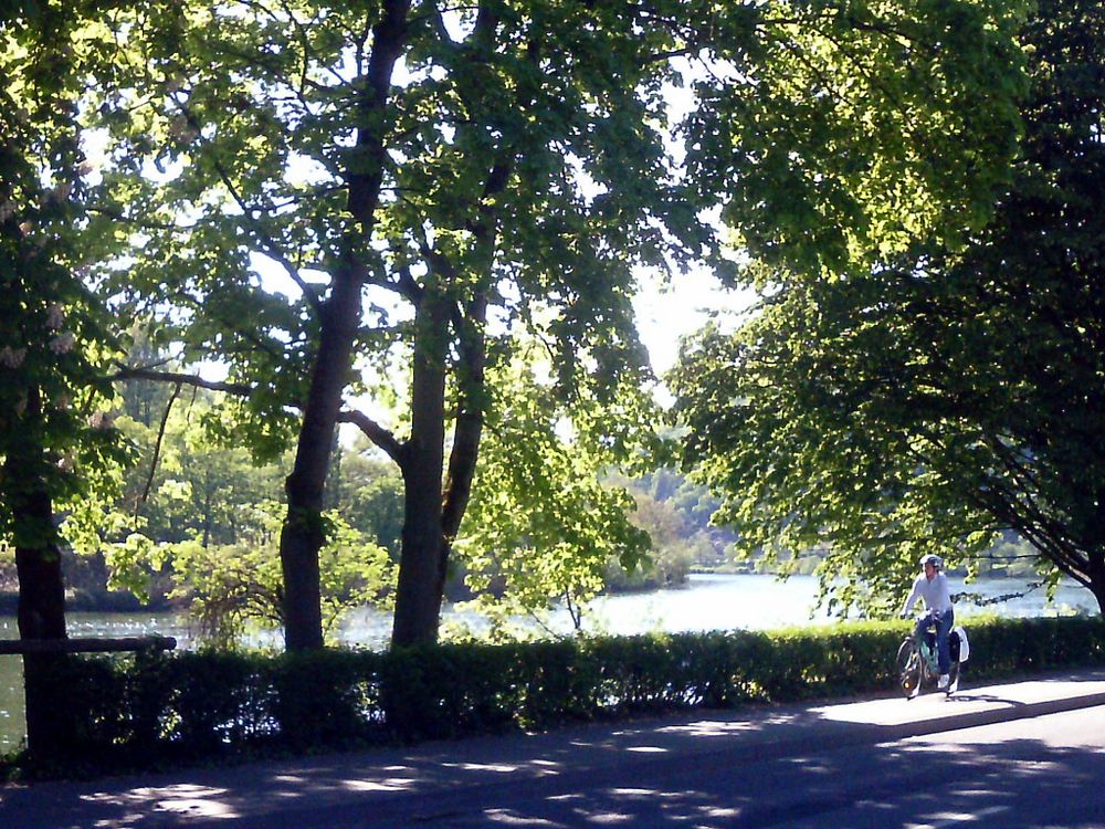 Am Neckar bei Heidelberg