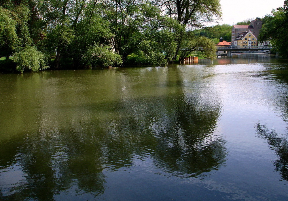 Am Neckar bei Mittelstadt