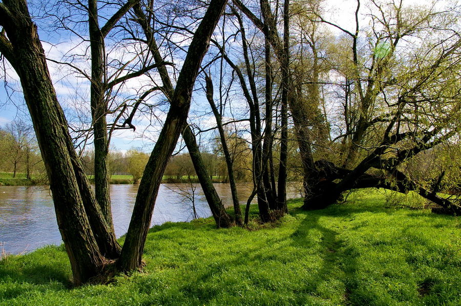 Am Neckar bei RT- Mittelstadt