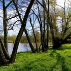 Am Neckar bei RT- Mittelstadt