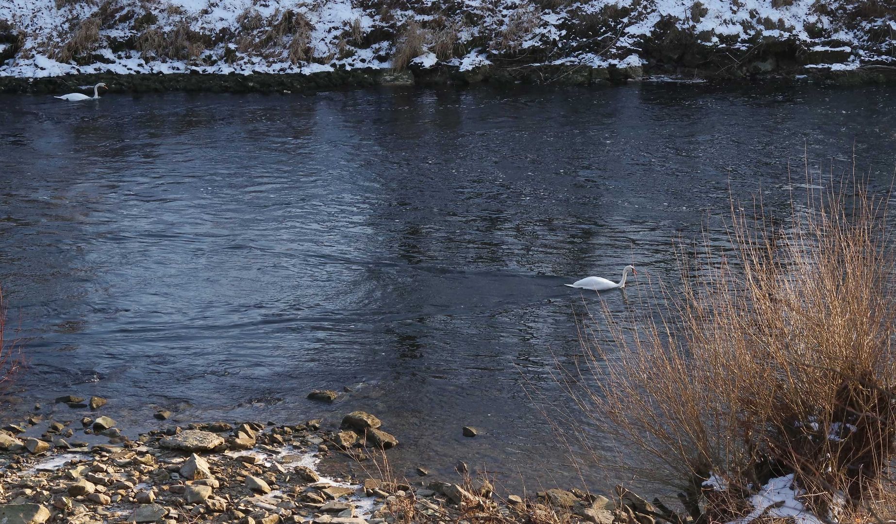 am Neckar bei Wernau...2