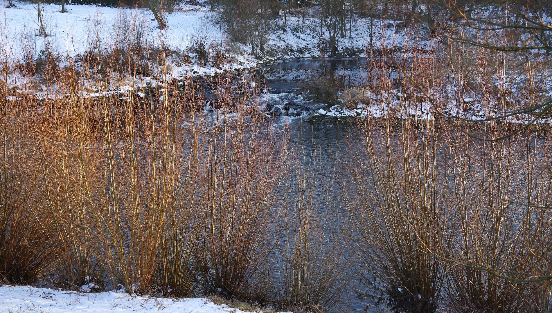 am Neckar beim Biotop