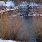 am Neckar beim Biotop