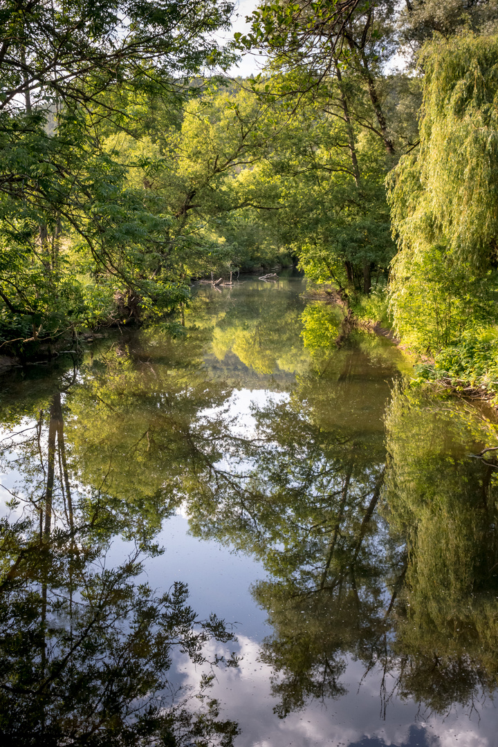 Am Neckar