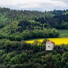 Am Neckarsteig. Schloss Neuburg.