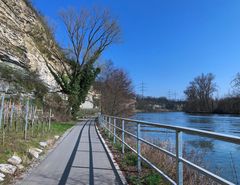 Am Neckartalradweg