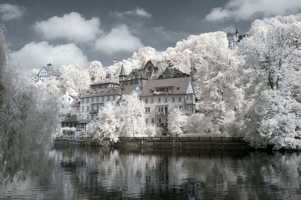 Am-Neckarufer in Tübingen.